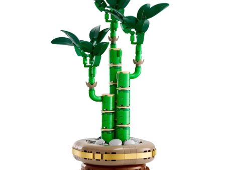 Lego - Linea Botanicals: Bambu Del Buon Auspicio 10344 Online Sale