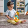 Fisher Price - Rino Il Volpino Impariamo gli Opposti  HYL02 Fashion